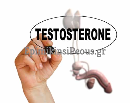 Testosterone